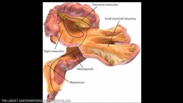 news-p-296929-636191034180576259_468705_large